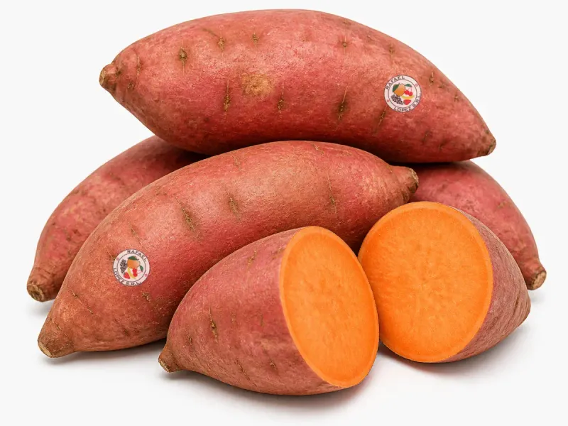 Imagen ilustrativa de batata para catálogo mayorista