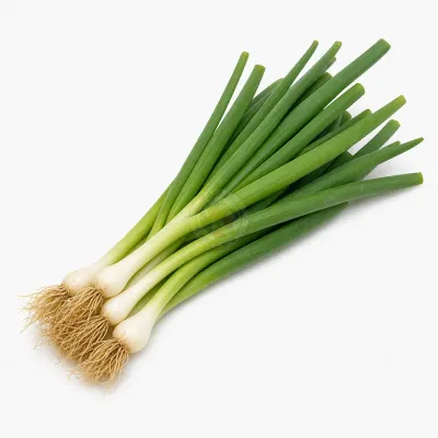 Imagen ilustrativa de cebolla de verdeo para catálogo mayorista