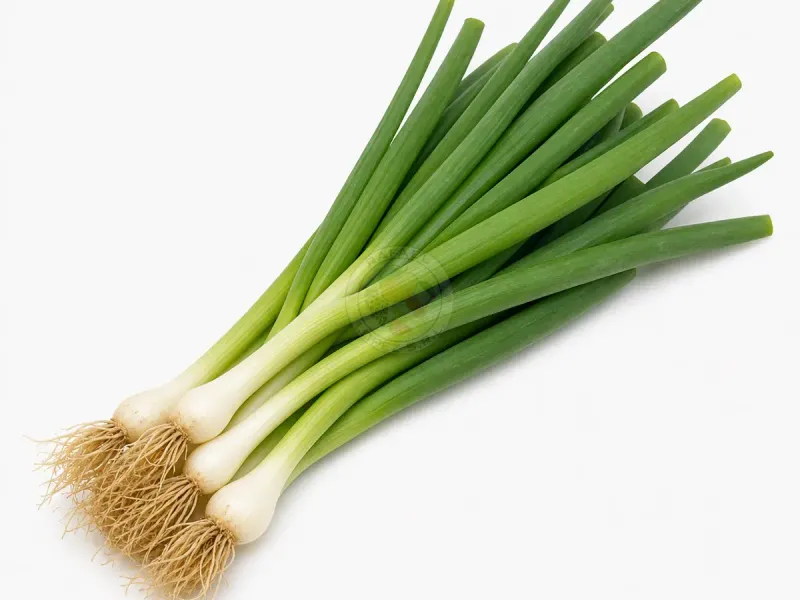 Imagen ilustrativa de cebolla de verdeo para catálogo mayorista