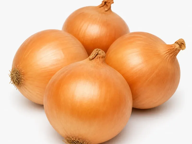 Imagen ilustrativa de cebollas para catálogo mayorista