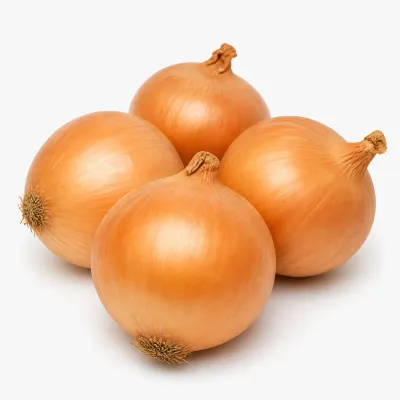 Imagen ilustrativa de cebollas para catálogo mayorista