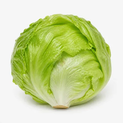 Imagen ilustrativa de lechuga repollada para catálogo mayorista