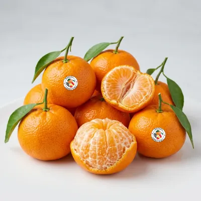 Imagen ilustrativa de mandarina criolla para catálogo mayorista