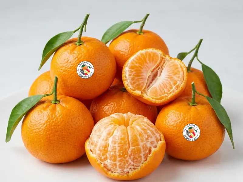 Imagen ilustrativa de mandarina criolla para catálogo mayorista