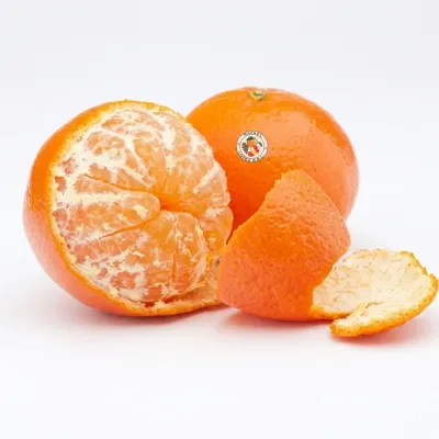 Imagen ilustrativa de mandarina Dancy para catálogo mayorista