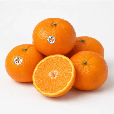 Imagen ilustrativa de mandarina Nova para catálogo mayorista