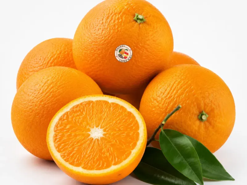 Imagen ilustrativa de naranja para jugo para catálogo mayorista