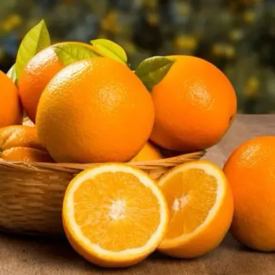 Imagen ilustrativa de naranja Salustiana para catálogo mayorista