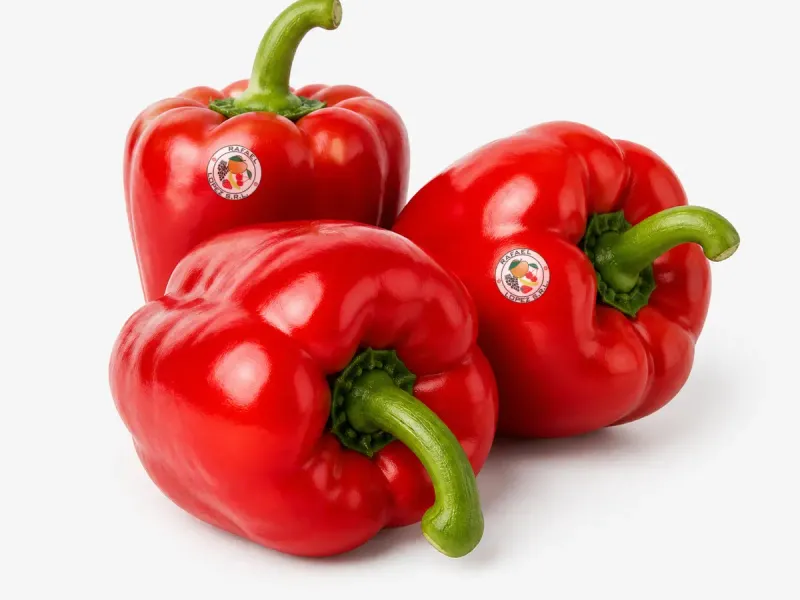Imagen ilustrativa de pimiento rojo para catálogo mayorista