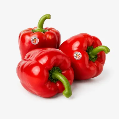 Imagen ilustrativa de pimiento rojo para catálogo mayorista