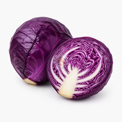 Imagen ilustrativa de repollo morado para catálogo mayorista