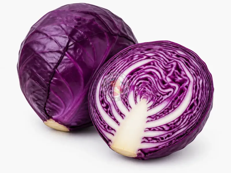 Imagen ilustrativa de repollo morado para catálogo mayorista
