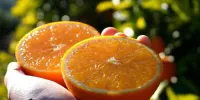 Naranja Salustiana - miniatura 1